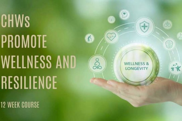 Community Healthcare Workers Competency Training